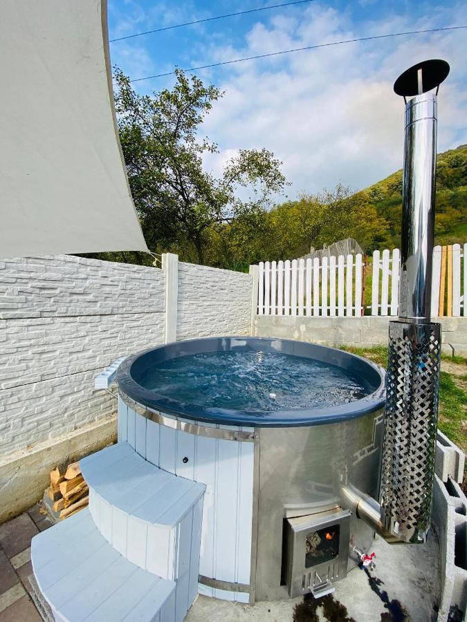 Green Hill Villa Calimanesti Exterior photo